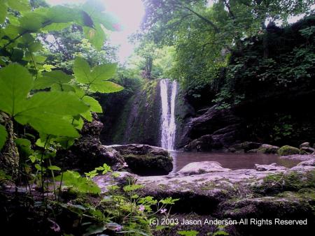 TU ME CONNAIS  / BONJOUR