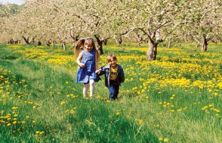    C'est   le  printemps  Bonjour