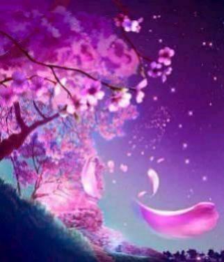 LOUANGE A L'ETERNEL  /Bonjour bon Dimanche