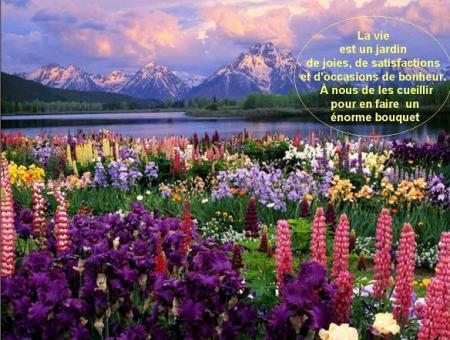 CE QUI A DE LA VALEUR AUX YEUX DE DIEU /Bonjour