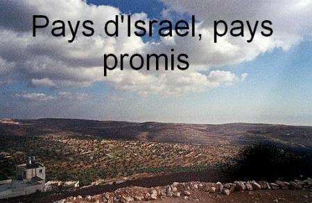 Pays d'Israel , pays promis . bonjour Bienvenue