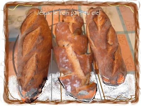 J�sus le bon pain du ciel  bonjour Bienvenue