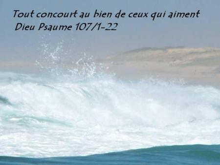 Tout concourt au bien de ceux qui aiment Dieu ... bonjour