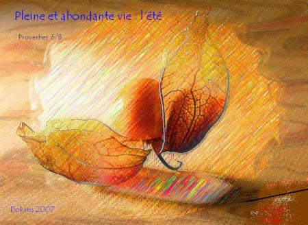 Pleine et abondante  vie :  bonjour