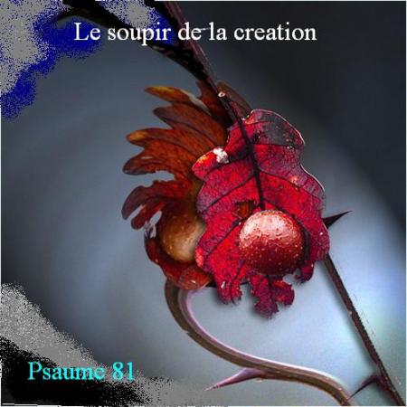 Le soupir de la creation  bonjour