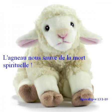 L'agneau nous sauve de la mort spirituelle ! bonjour