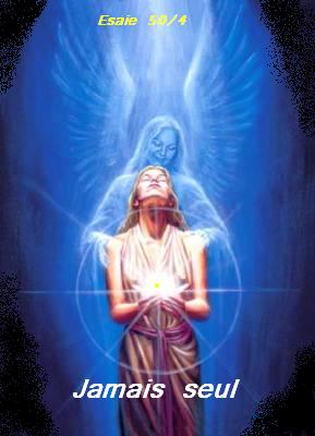 Jamais seul  bon,jour