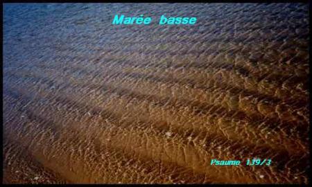  L'Eternel ne regarde  pas ce � quoi l'homme regarde  bonjour