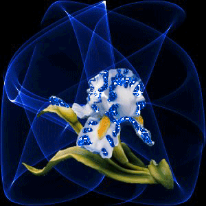  Une fleur �clot  � la vie