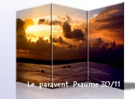  Le paravent ? bonjour