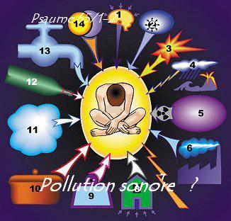 Pollution sonore ? bonjour